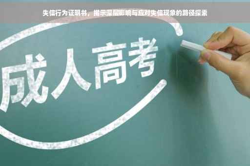 失信行为证明书，揭示深层影响与应对失信现象的路径探索