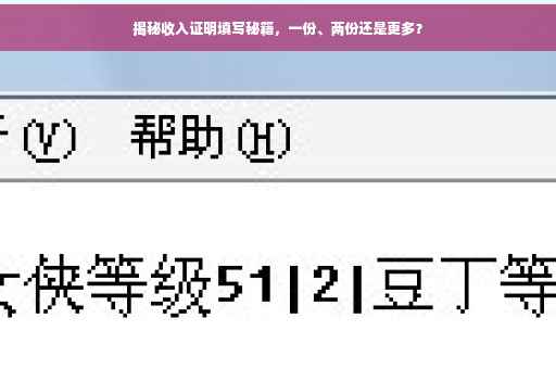 揭秘收入证明填写秘籍，一份、两份还是更多？