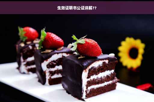 生效证明书公证详解??