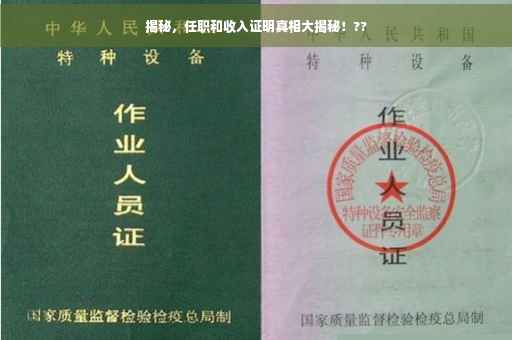 揭秘，任职和收入证明真相大揭秘！??