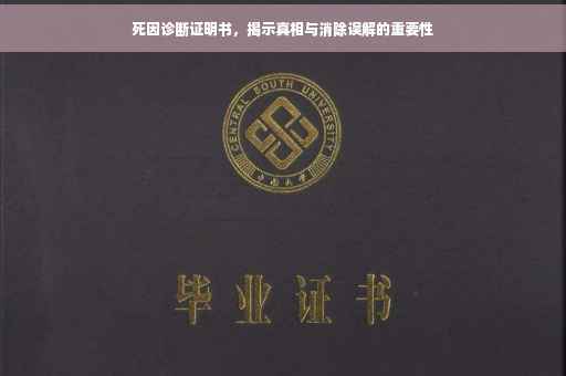 死因诊断证明书，揭示真相与消除误解的重要性