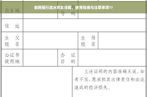 新网银行流水贷款详解，使用指南与注意事项??