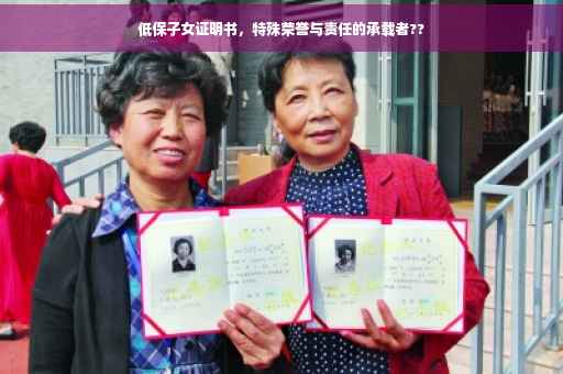低保子女证明书，特殊荣誉与责任的承载者??