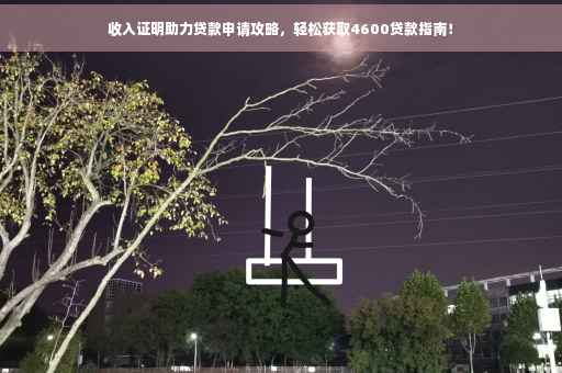 收入证明助力贷款申请攻略，轻松获取4600贷款指南！