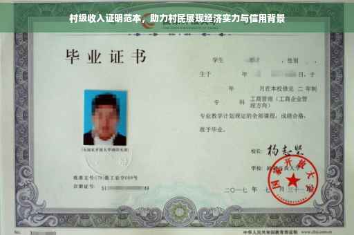 村级收入证明范本，助力村民展现经济实力与信用背景