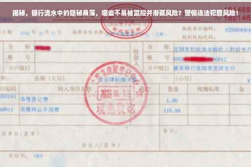 揭秘，银行流水中的隐秘角落，哪些不易被监控并潜藏风险？警惕违法犯罪风险！