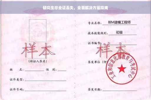 研究生毕业证丢失，全面解决方案指南