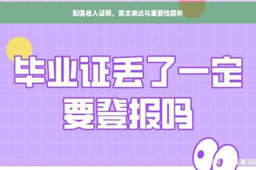 配偶收入证明，英文表达与重要性解析