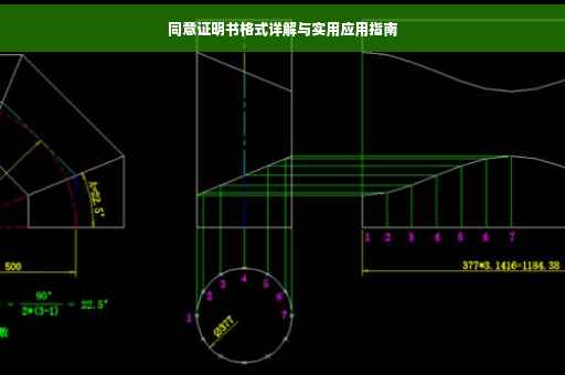 同意证明书格式详解与实用应用指南