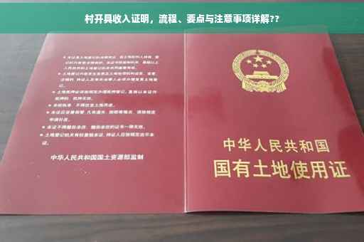 村开具收入证明，流程、要点与注意事项详解??