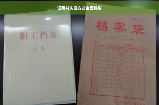 证明书认证方式全面解析