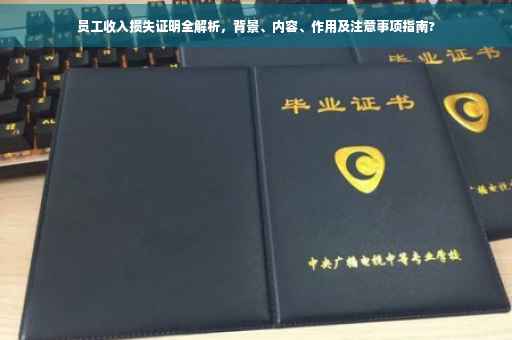 员工收入损失证明全解析，背景、内容、作用及注意事项指南?