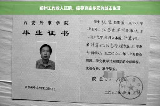 郑州工作收入证明，探寻真实多元的城市生活