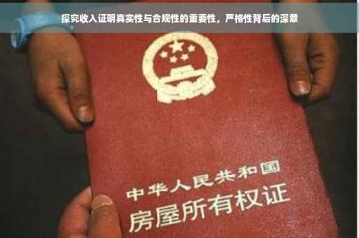探究收入证明真实性与合规性的重要性，严格性背后的深意