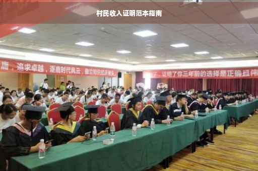 村民收入证明范本指南