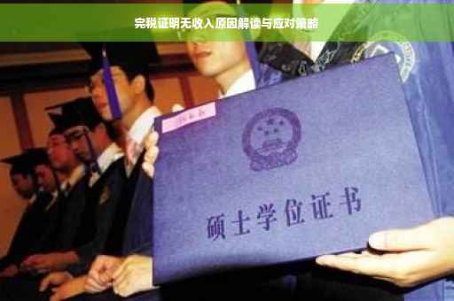 完税证明无收入原因解读与应对策略