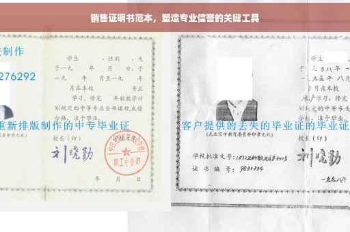 销售证明书范本，塑造专业信誉的关键工具