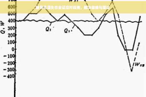 辅导员遗失毕业证应对指南，解决策略与建议