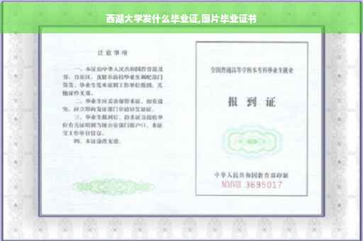 西湖大学发什么毕业证,图片毕业证书