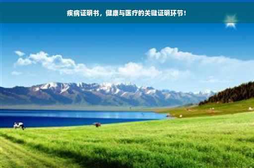 疾病证明书，健康与医疗的关键证明环节！