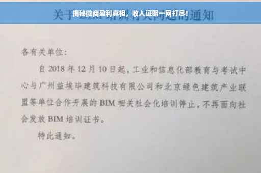 揭秘微商盈利真相，收入证明一网打尽！