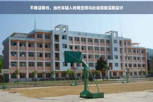 不婚证明书，当代年轻人的婚恋观与社会现象深度探讨