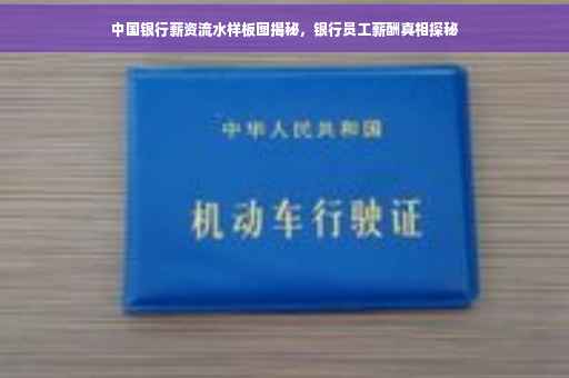 中国银行薪资流水样板图揭秘，银行员工薪酬真相探秘