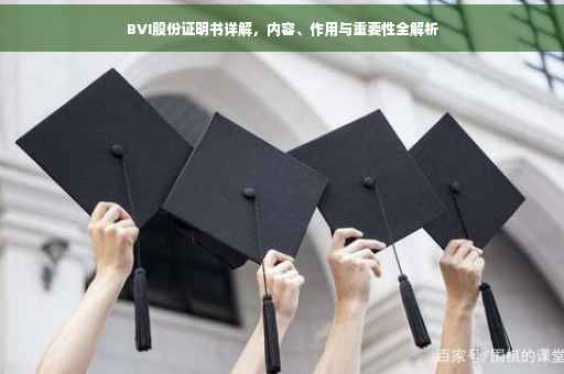 BVI股份证明书详解，内容、作用与重要性全解析