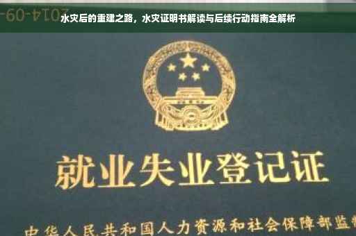 水灾后的重建之路，水灾证明书解读与后续行动指南全解析