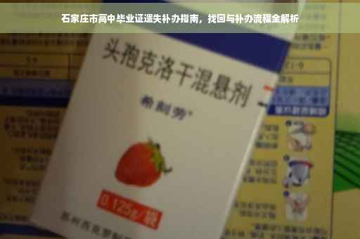 石家庄市高中毕业证遗失补办指南，找回与补办流程全解析