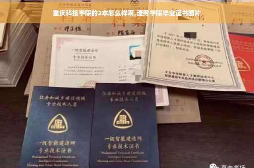 重庆科技学院的2本怎么样啊,渣男学院毕业证书图片