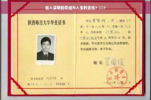 收入证明能否成为人生的支柱？⚡️?