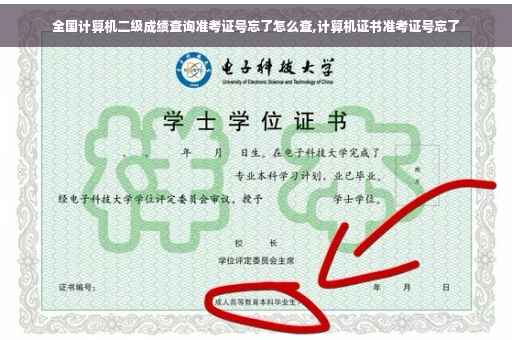 全国计算机二级成绩查询准考证号忘了怎么查,计算机证书准考证号忘了