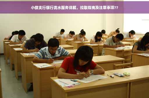 小微支行银行流水服务详解，拉取指南及注意事项??