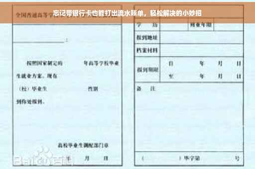 忘记带银行卡也能打出流水账单，轻松解决的小妙招