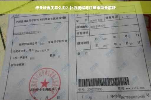 毕业证丢失怎么办？补办流程与注意事项全解析