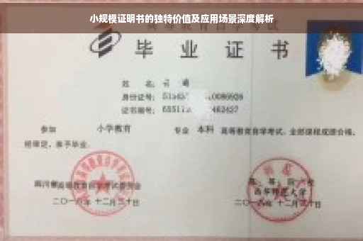 小规模证明书的独特价值及应用场景深度解析