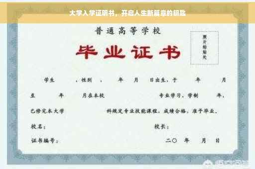 大学入学证明书，开启人生新篇章的钥匙