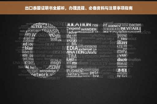 出口泰国证明书全解析，办理流程、必备资料与注意事项指南