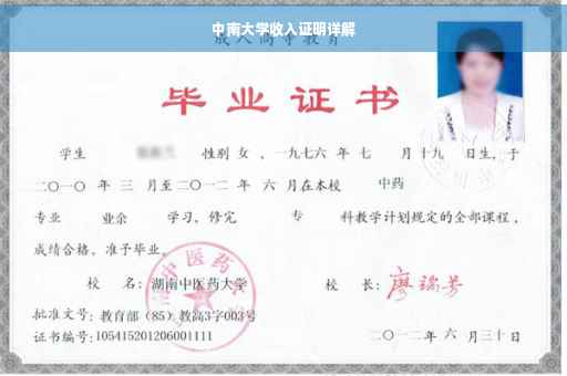 中南大学收入证明详解