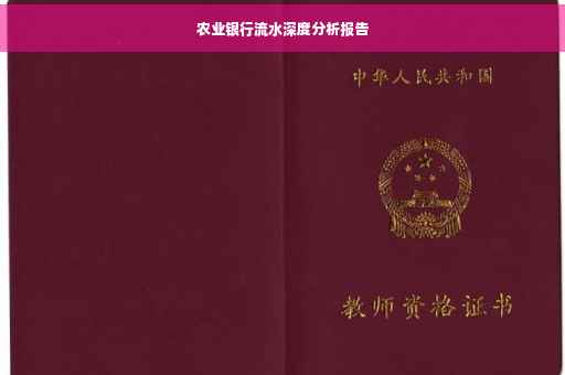 农业银行流水深度分析报告