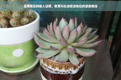 高考背后的收入证明，教育与社会经济地位的紧密相连