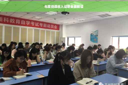 年度待遇收入证明全面解读