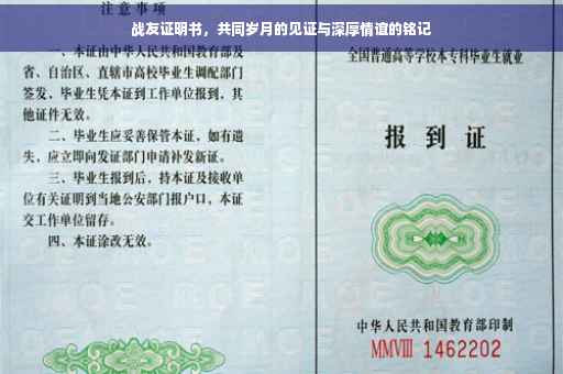 战友证明书，共同岁月的见证与深厚情谊的铭记