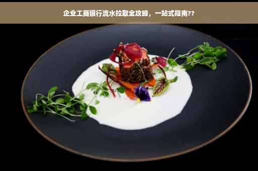 企业工商银行流水拉取全攻略，一站式指南??