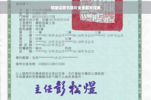 咳嗽证明书图片全面解析指南