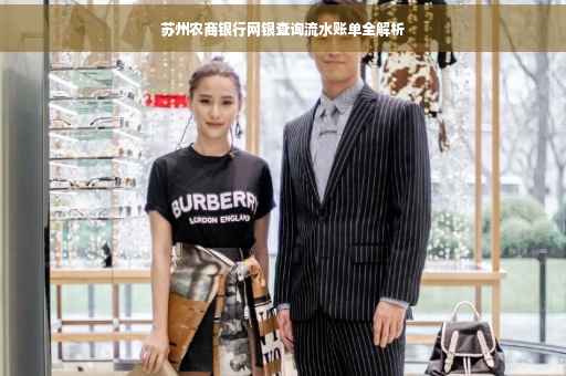 苏州农商银行网银查询流水账单全解析
