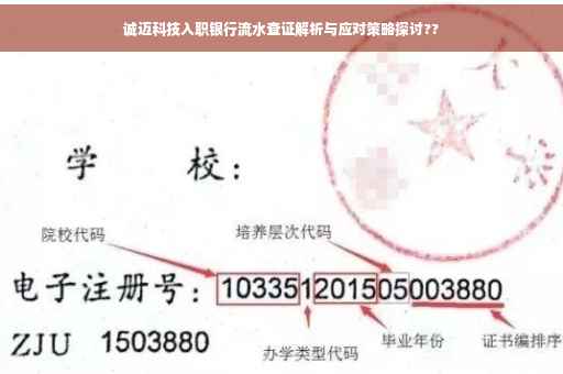诚迈科技入职银行流水查证解析与应对策略探讨??