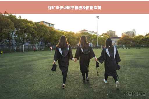 煤矿责任证明书模板及使用指南
