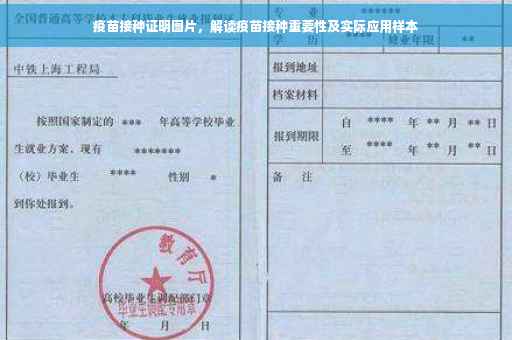 疫苗接种证明图片，解读疫苗接种重要性及实际应用样本